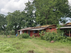 Bastar Tribal Homestay